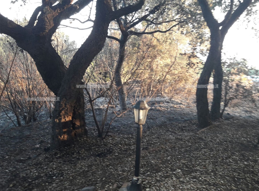 Incendi_piano-Luppino_6.jpg