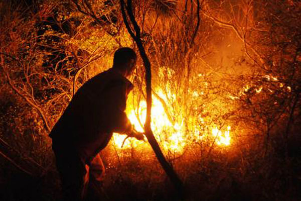Incendi: la Calabria continua a bruciare, unità di crisi al lavoro