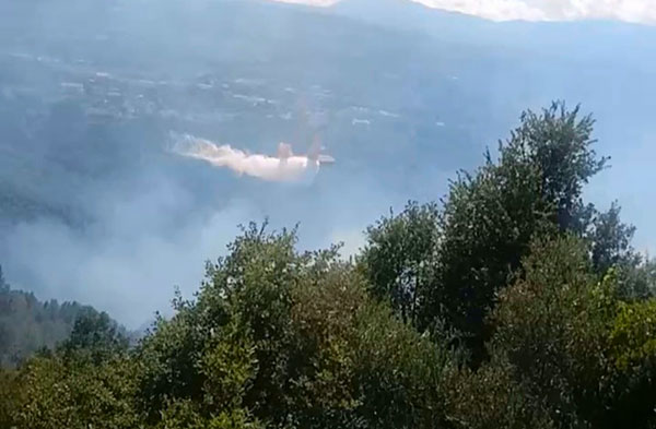 Calabria Verde gestisce e affronta 40 incendi nell'ultima domenica di luglio, impegnati 150 operatori
