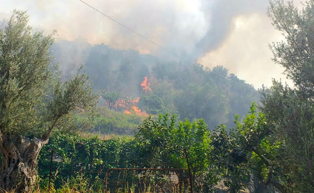 Incendio sulle colline a Reggio, in azione task force guidata da Calabria Verde
