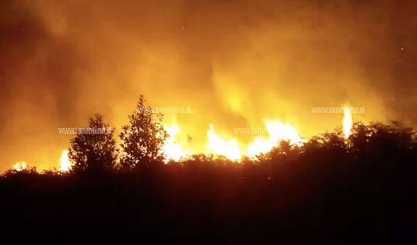 Lamezia: ancora fiamme nella notte in contrada Acquadauzano - VIDEO