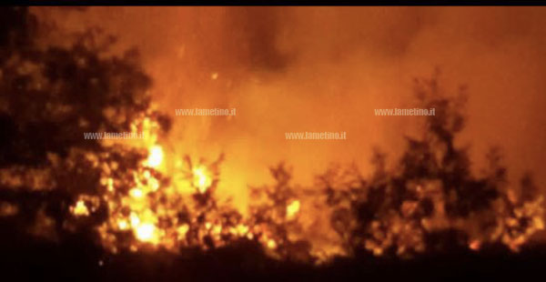 Incendio-acquadauzano_2.jpg