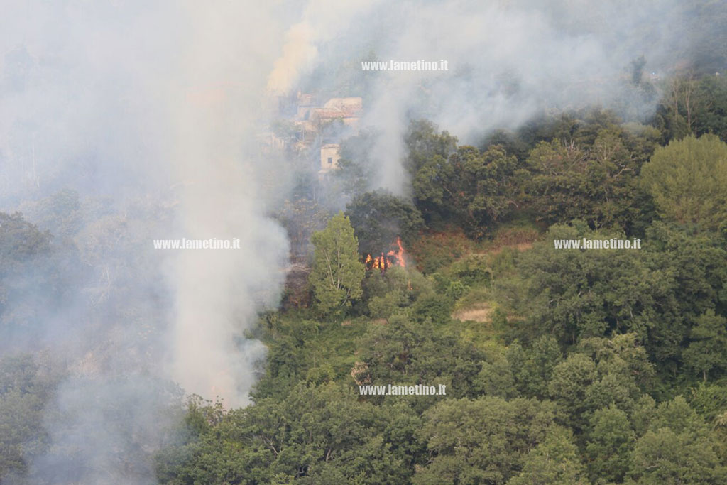 Lamezia: ancora incendi in zone montane, fiamme vicino abitazioni - VIDEO