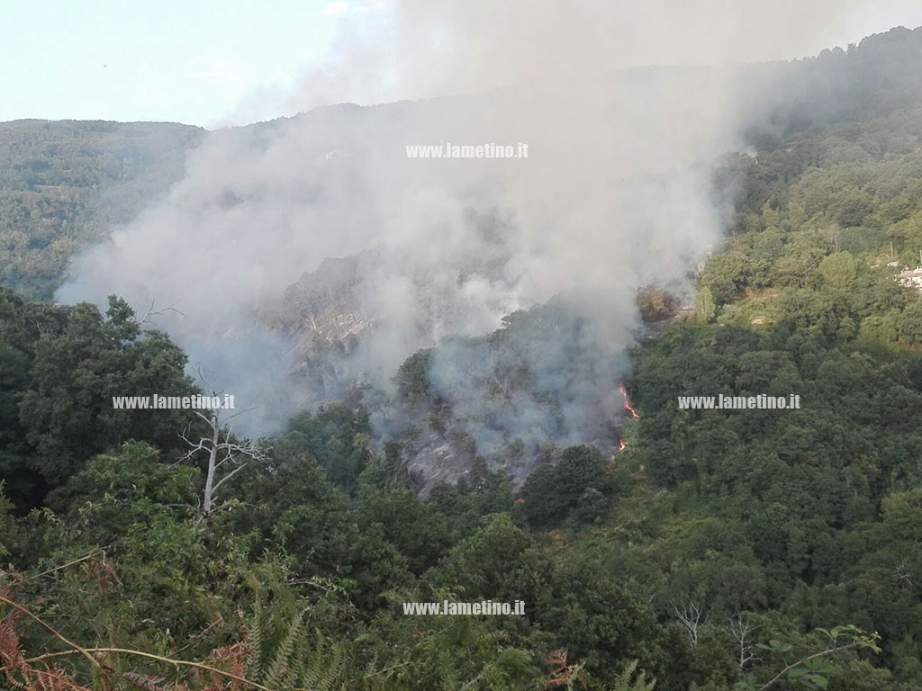 Prevenzione e lotta agli incendi boschivi 2019: ecco il Piano per la Calabria