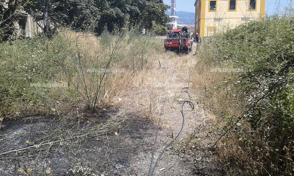 Incendio-sterpaglie-stazione-sambiase_2.jpg