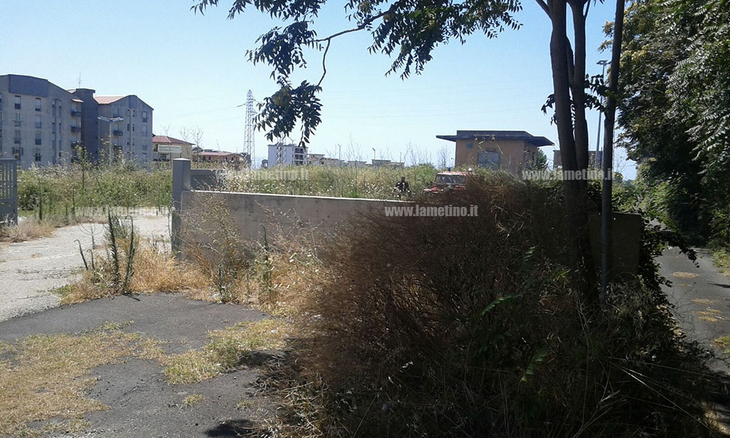 Incendio-sterpaglie-stazione-sambiase_3.jpg