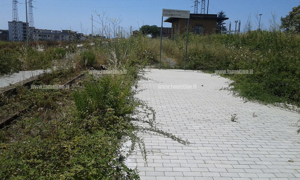 Incendio-sterpaglie-stazione-sambiase_4.jpg