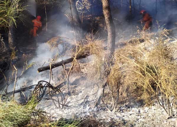 Incendio-tiriolo-s-pietro-apostolo-1882019.jpg