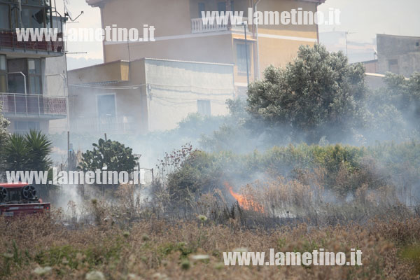 Lamezia: Incendio in uliveto dietro stadio D’Ippolito