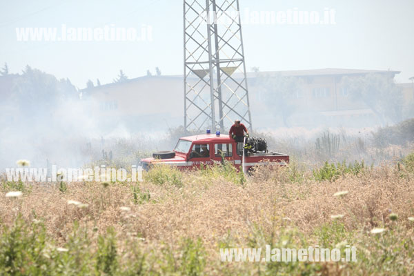 Incendio-uliveto-stadio-ippolito2.jpg