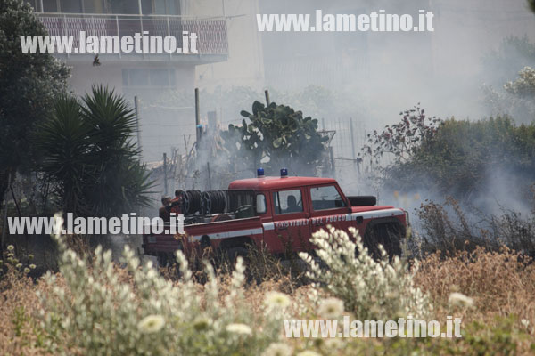 Incendio-uliveto-stadio-ippolito3.jpg