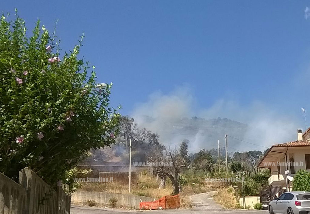 Incendio_collina_sambiase_3.jpg