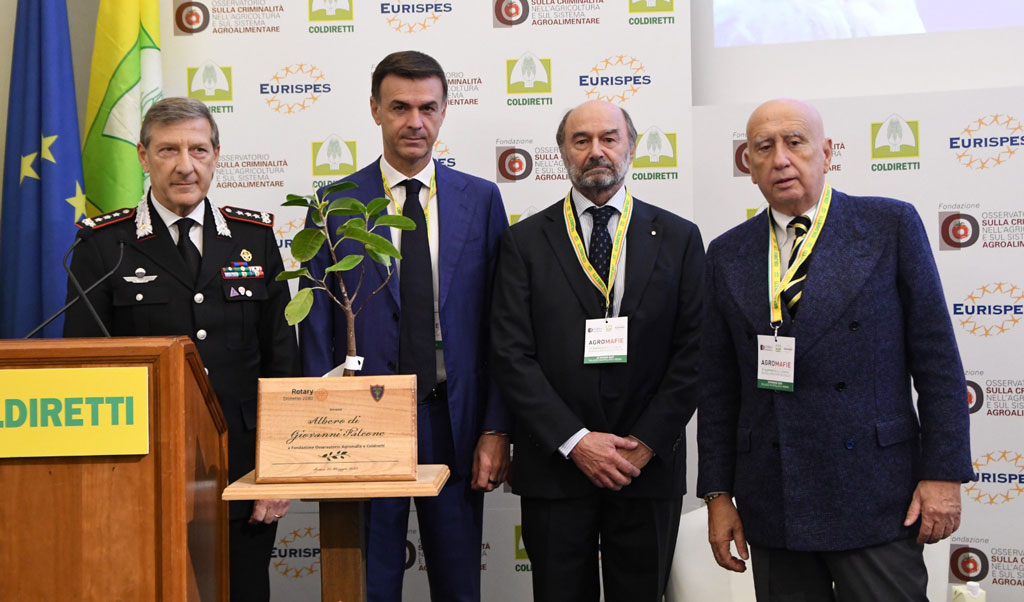 La-Talea-dellalbero-di-Giovanni-Falcone_ee2b1.jpg