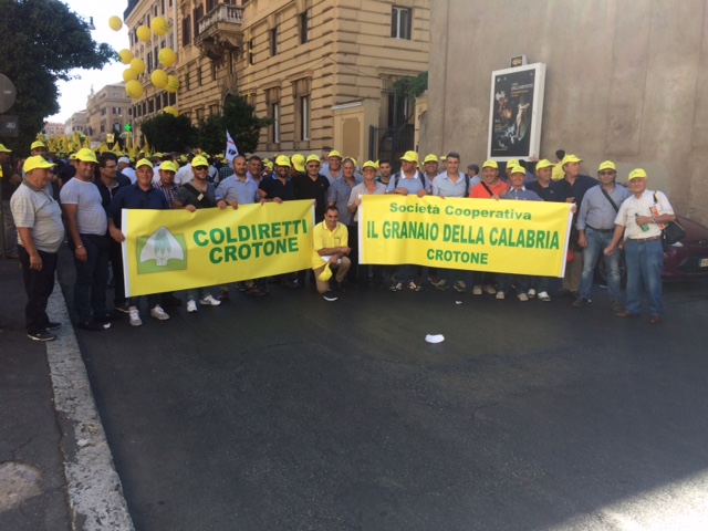 Regione Calabria a tavolo nazionale filiera cerealicola