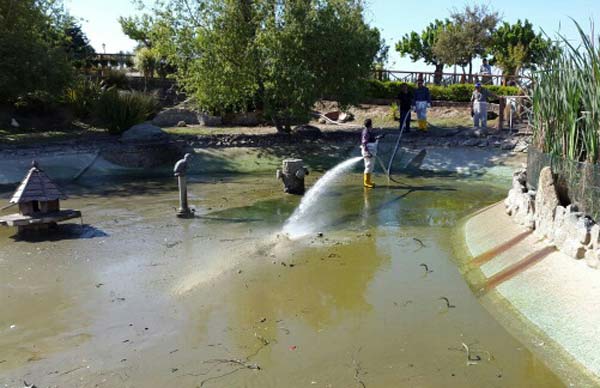 Parco Biodiversità Catanzaro, bonificato il laghetto