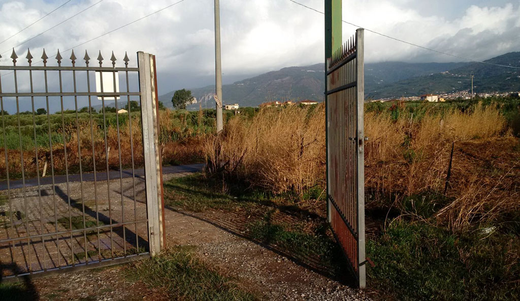 Lamezia, danneggiamenti a cooperativa Le agricole: "Ennesimo vile tentativo di fermare nostre attività" - Reazioni