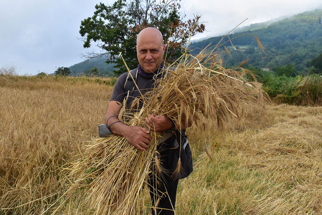 Le-vie-del-Grano-03_cade5.jpg