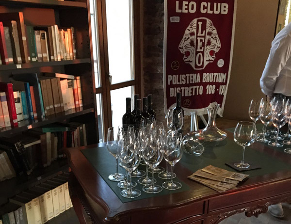 Leo Club ha organizzato visita guidata al Museo Metauros di Gioia Tauro