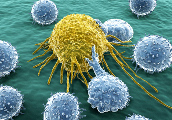 Lamezia, Asp: il 20 e 21 aprile congresso su immuno-oncologia