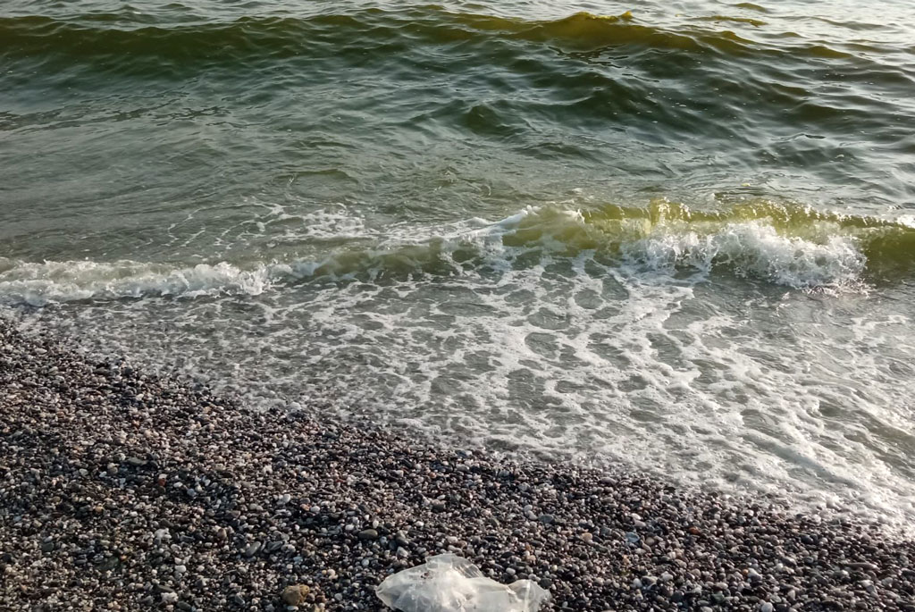Lamezia, Natrella (FI) su qualità del mare: "Istituire un consorzio/ente che metta in sinergia i Comuni"