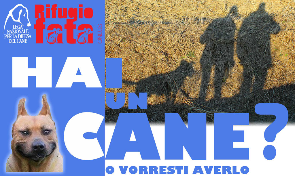 Lamezia, il 28 maggio Giornata consapevolezza cinofila al Parco Impastato