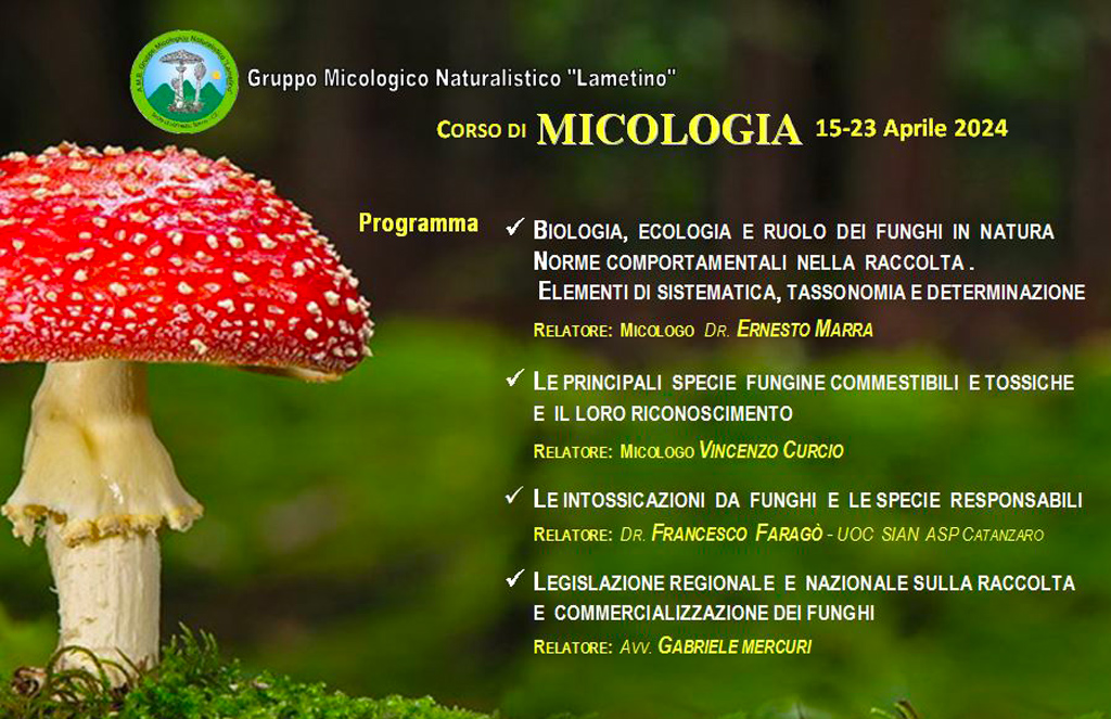 Locandina-del-corso_811e6.jpg