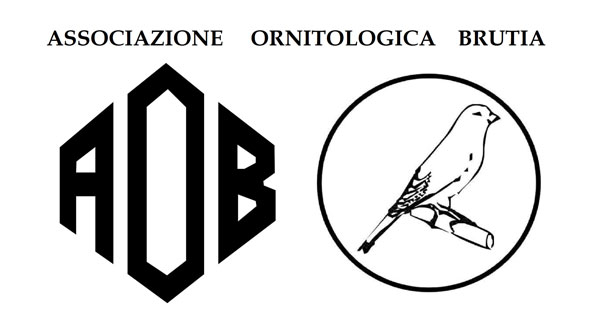 Logo-butia-con-iniziali_bdd75.jpg