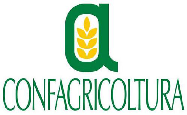 Intimidazione ad azienda agricola, la solidarietà di Statti e Cilento (Confagricoltura)