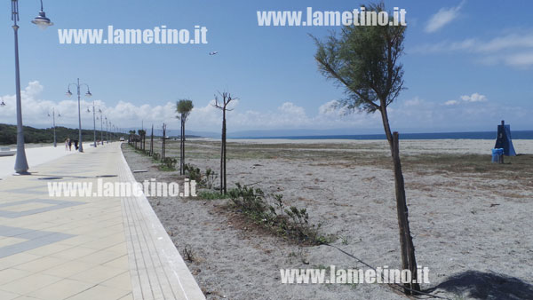 Lungomare-Cafarone-alberi.jpg