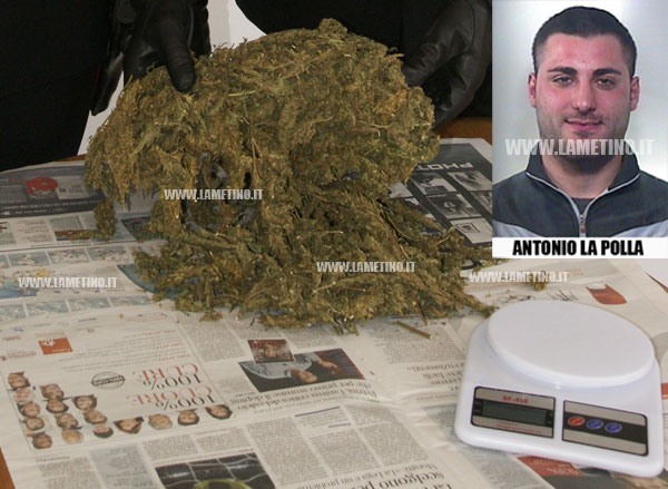 MARIJUANA_arresto_la_polla