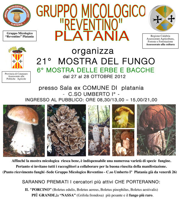 Manifesto-Mostra-Fungo3-2012
