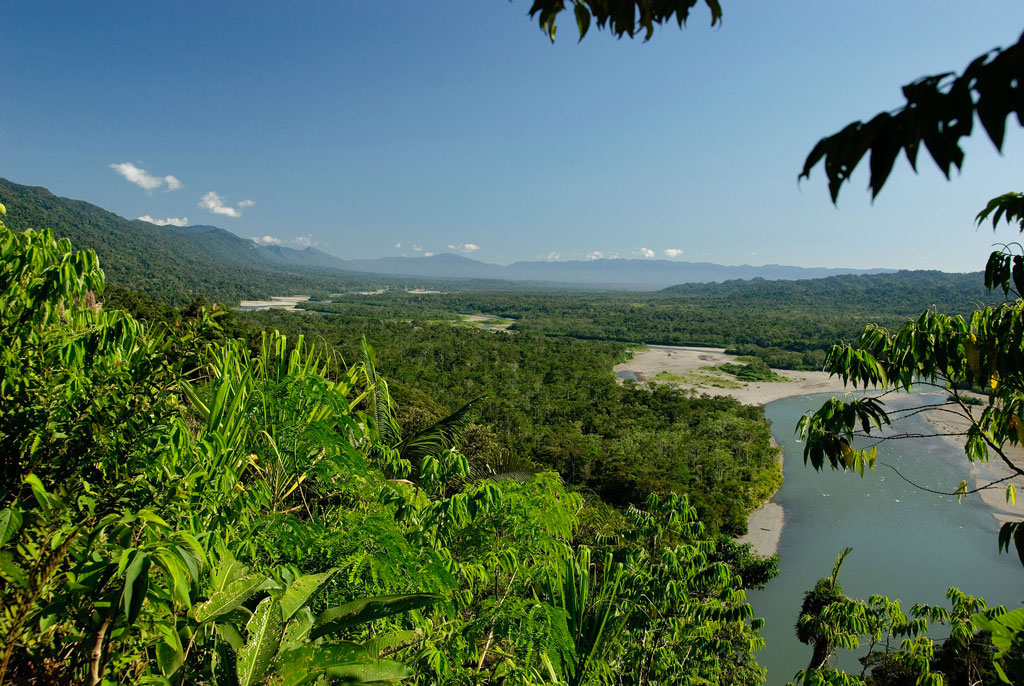 Manu_National_Park-71ok_9de47.jpg