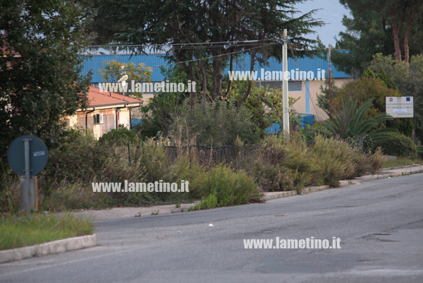Marciapiedi-savutano-erbacce-2.jpg