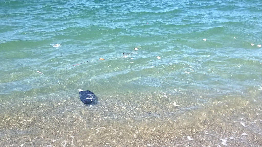 Mare-sporco_2016_5.jpg