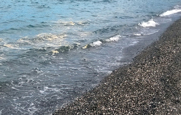 Mare sporco, Piccioni: "Amministrazione comunale chieda maggiori controlli"