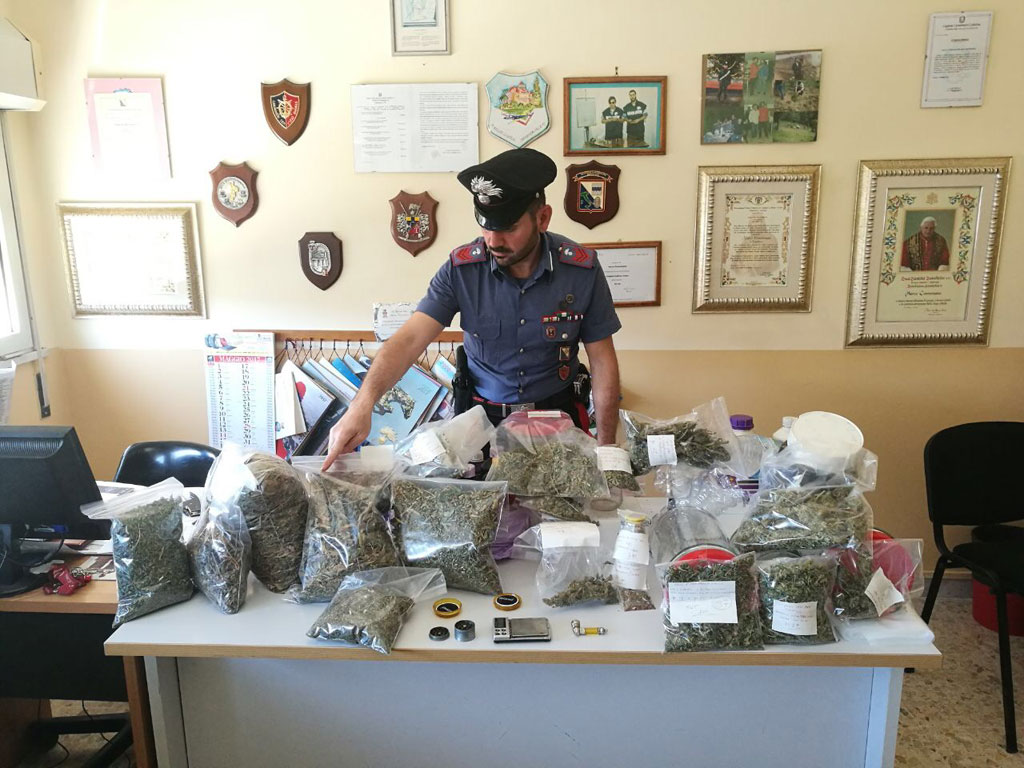 Scoperta serra casalinga a Cirò Marina: sequestrati quasi due chili di marijuana, 2 arresti