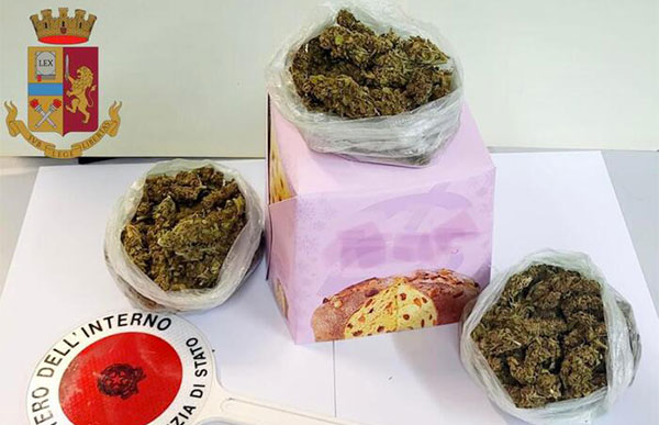 Nascondeva marijuana nella confezione del panettone, un arresto a Vibo Valentia