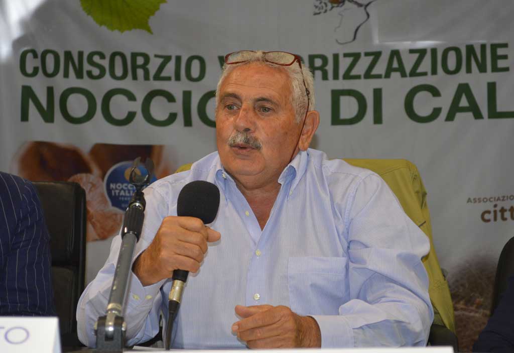 Domenico Martelli vicepresidente del Consorzio Valorizzazione e Tutela Nocciola di Calabria