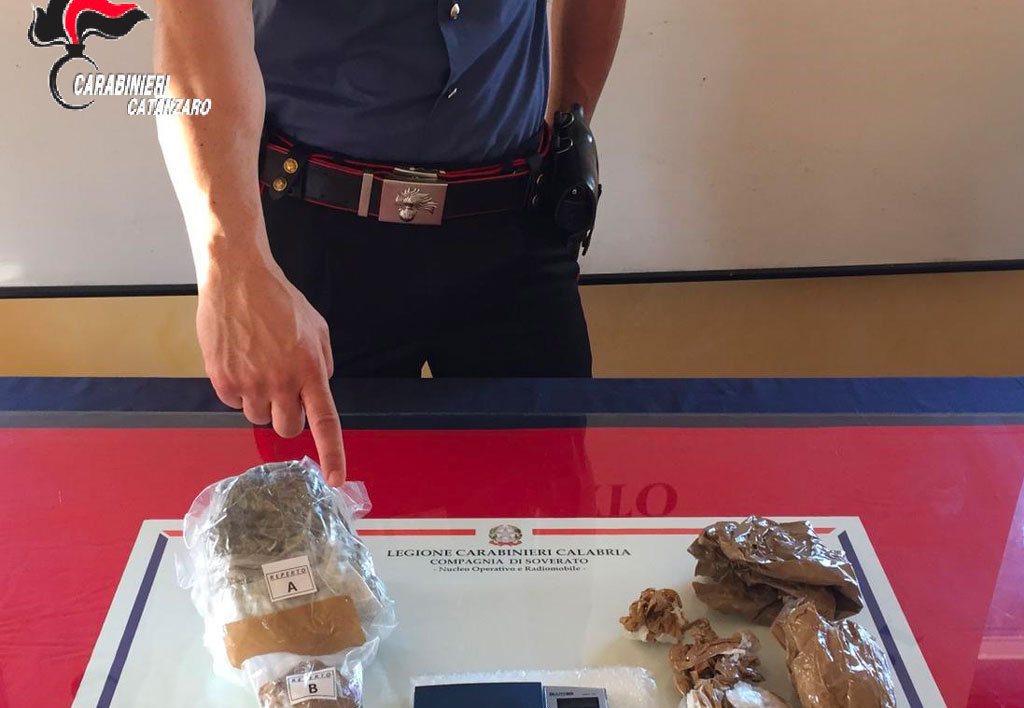 Carabinieri scoprono marijuana nascosta in una casa disabitata a Davoli