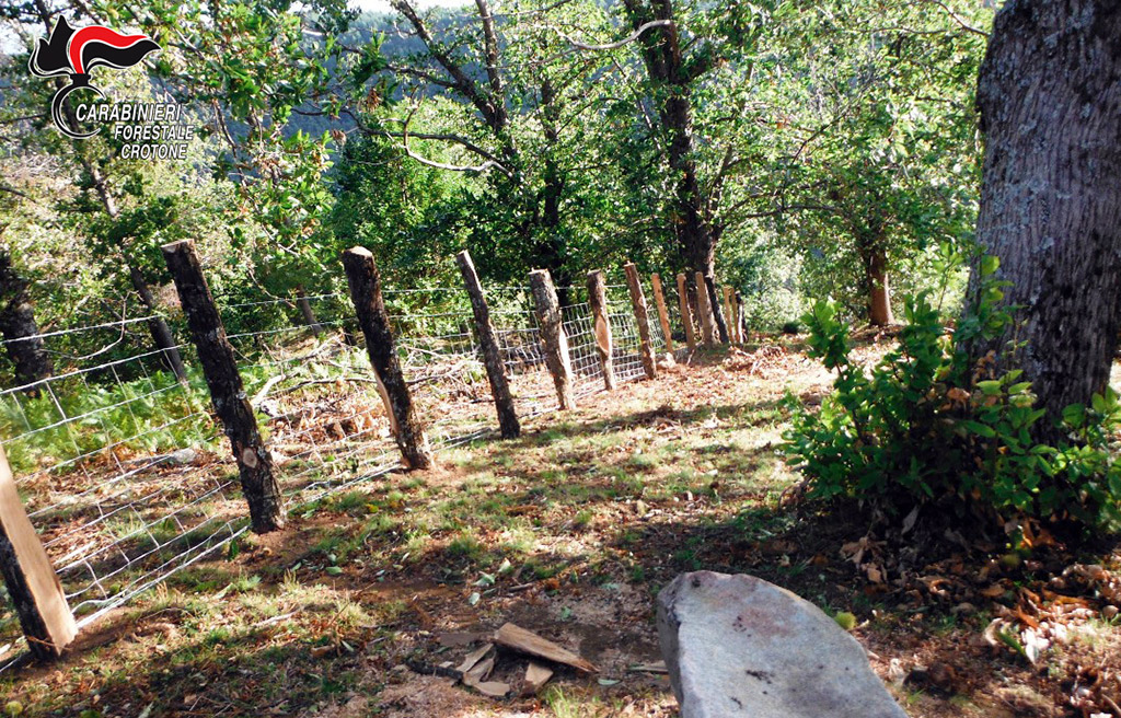 Invade terreno comunale nel crotonese, denunciato imprenditore 