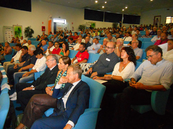 Mirarchi--Cosentino-Perticone-Mancuso.jpg