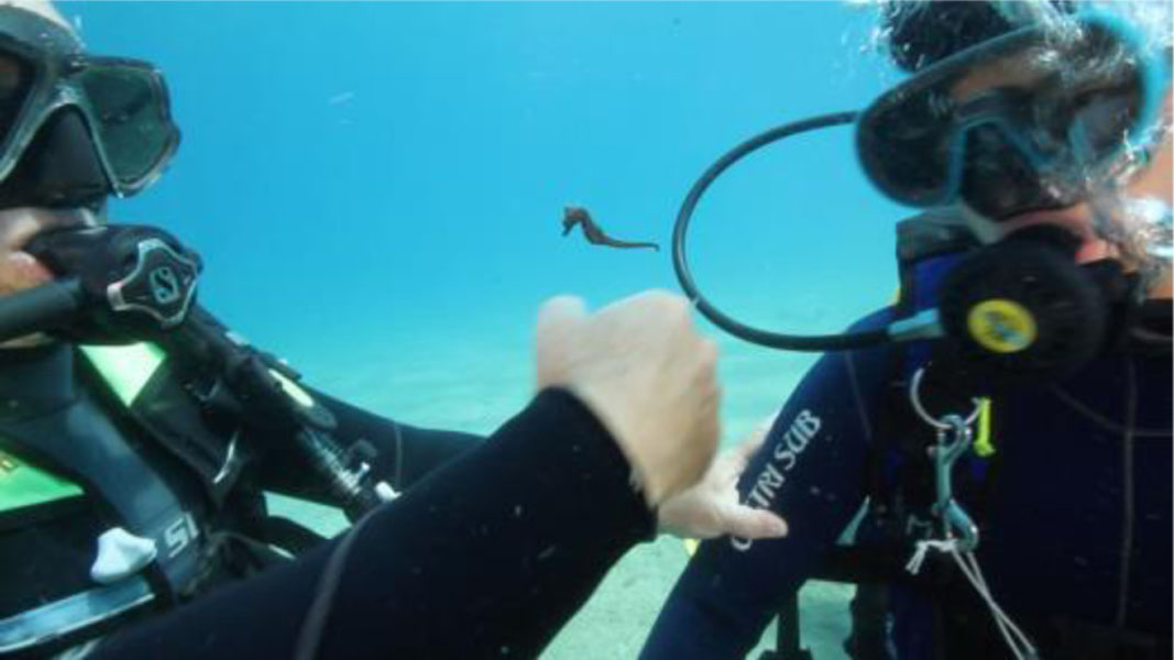 Asp, monitoraggio della glicemia sott'acqua nella baia dell'ippocampo a Soverato per giovani affetti da diabete