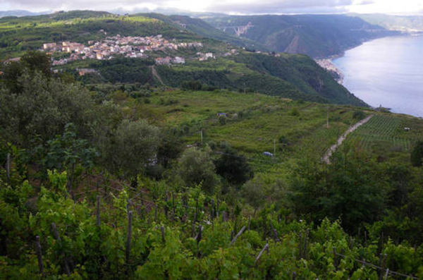 Fai, "Il luogo del cuore" più votato in Calabria è Monte Bagnara