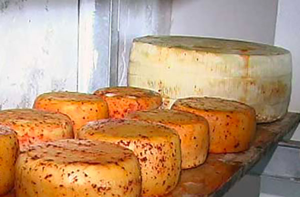 Pecorino Monte Poro verso assegnazione della Dop, il 5 ottobre l’audizione