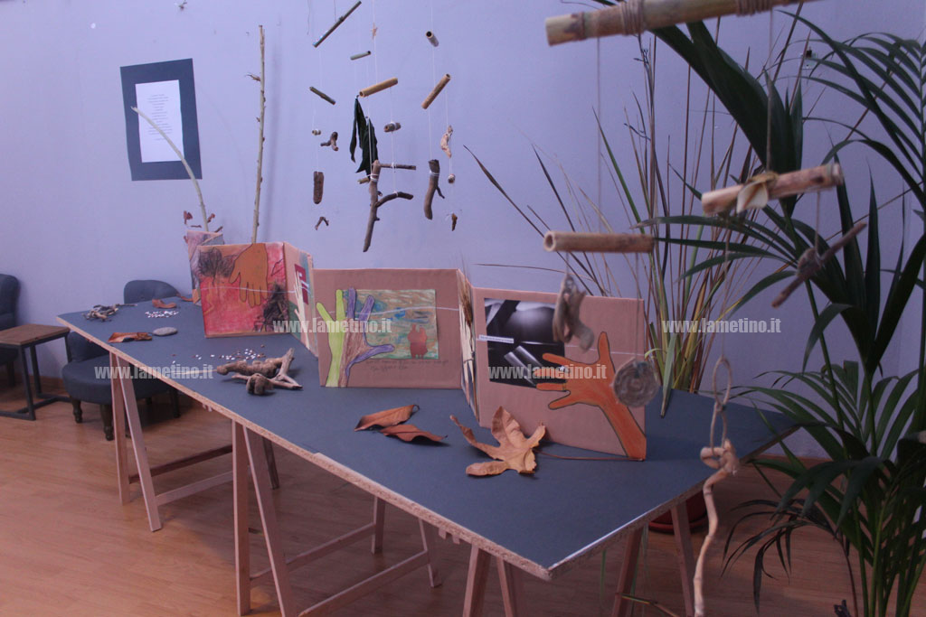 Mostra-Crac.jpg