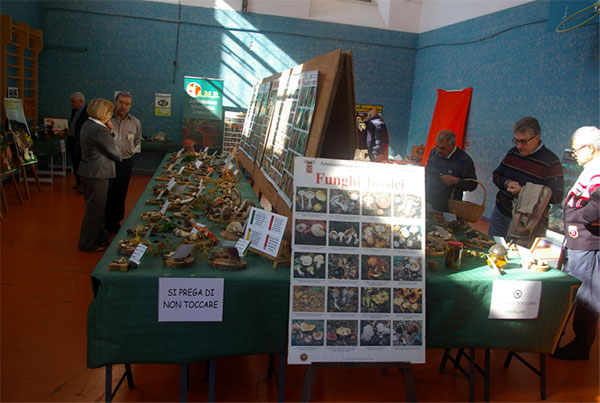 Mostra micologica a Catanzaro il 10 e 11 ottobre