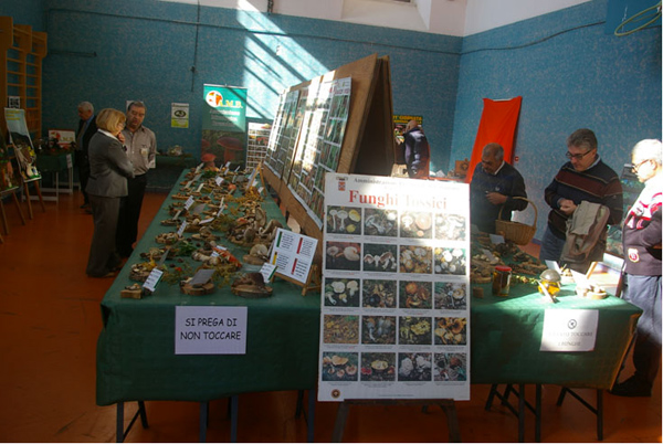 Calabria: Dal 25 al 26 XV mostra micologica “Città di Catanzaro” 