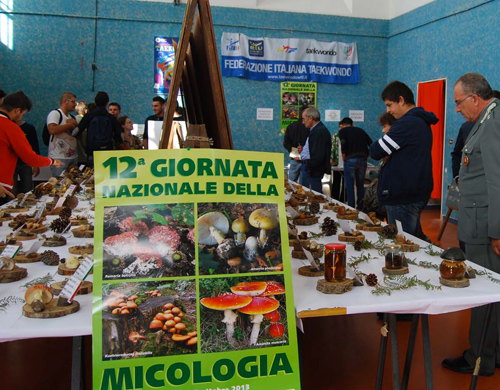 Mostra-Micologica-catanzaro.jpg