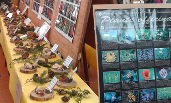 Mostra micologica e concorso “Il porcino più grande” l’8 e 9 ottobre a Catanzaro