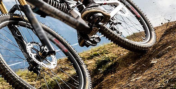 Oltre 300 concorrenti alla gara di mountain bike in Sila Piccola